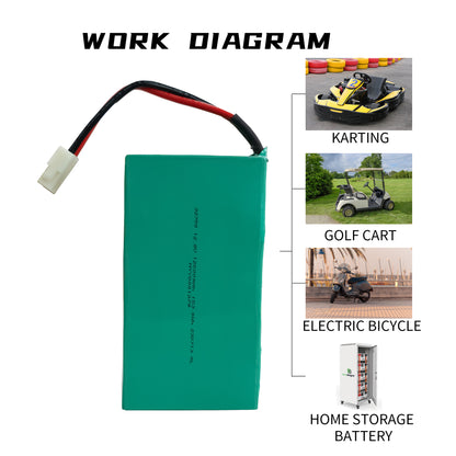 WISER Go Kart Lithium Battery Pack