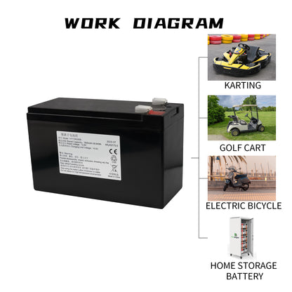 WISER Golf Cart 12 volt lithium battery